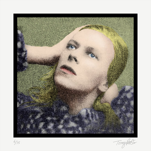 Terry Pastor - Hunky Dory - Giclee Print